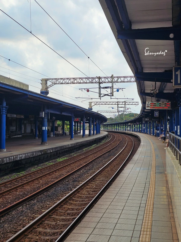 九份神隱之森 森林系秘境民宿 景觀下午茶 九份三天兩夜輕旅行 九份神隱之森 森林系秘境民宿 景觀下午茶 九份三天兩夜輕旅行