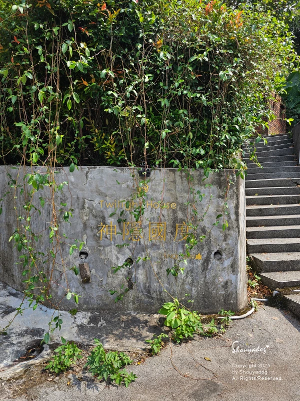 九份神隱之森 森林系秘境民宿 景觀下午茶 九份三天兩夜輕旅行 九份神隱之森 森林系秘境民宿 景觀下午茶 九份三天兩夜輕旅行