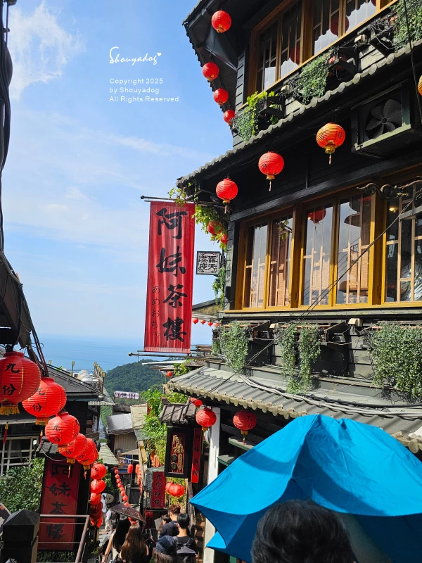 九份神隱之森 森林系秘境民宿 景觀下午茶 九份三天兩夜輕旅行 九份神隱之森 森林系秘境民宿 景觀下午茶 九份三天兩夜輕旅行