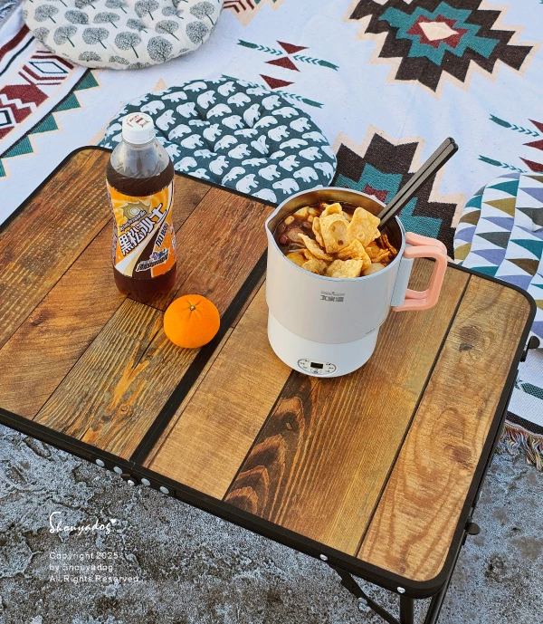 大家源 雙電壓便攜料理鍋 TCY-372202 旅行露營的好