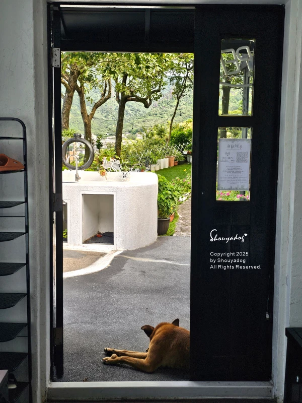 九份神隱之森 森林系秘境民宿 景觀下午茶 九份三天兩夜輕旅行 九份神隱之森 森林系秘境民宿 景觀下午茶 九份三天兩夜輕旅行