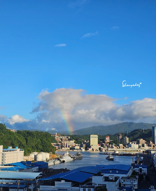 大家源 雙電壓便攜料理鍋 TCY-372202 旅行露營的好