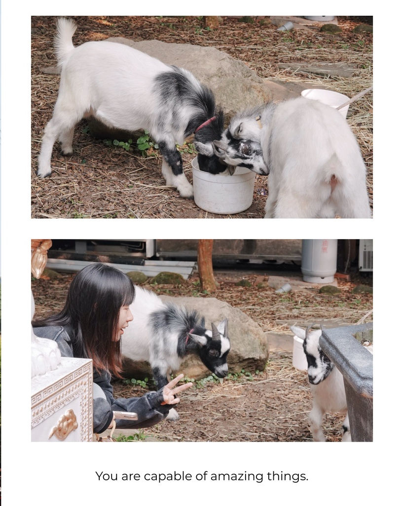 雲林親子景點推薦！桂林映象會館入園免門票，讓你一秒到泰國吃泰國船麵。