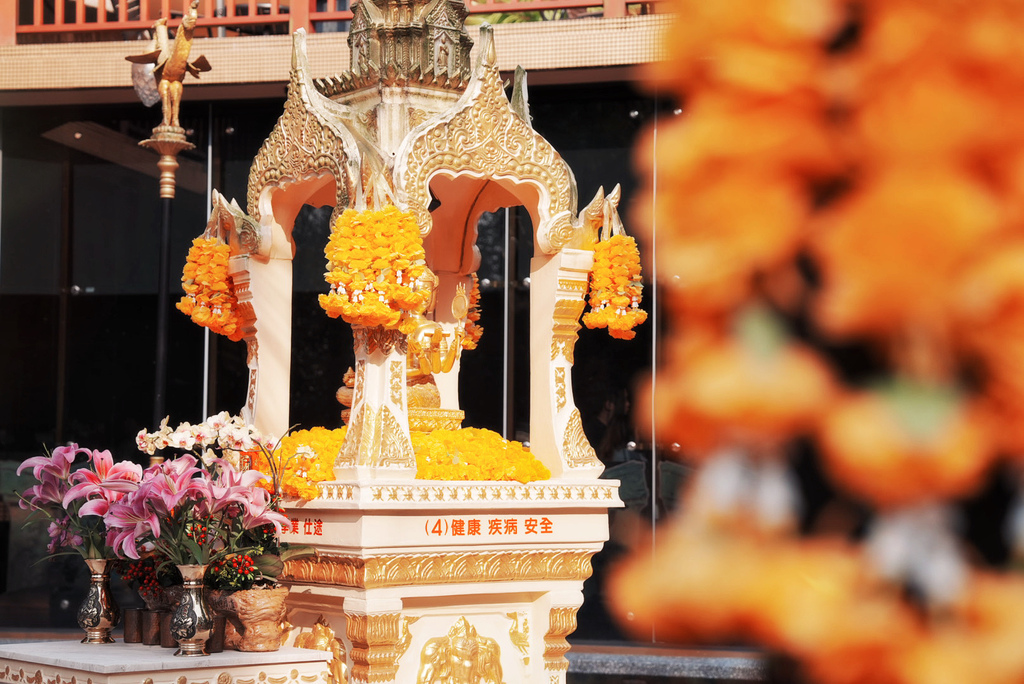 雲林親子景點推薦！桂林映象會館入園免門票，讓你一秒到泰國吃泰國船麵。
