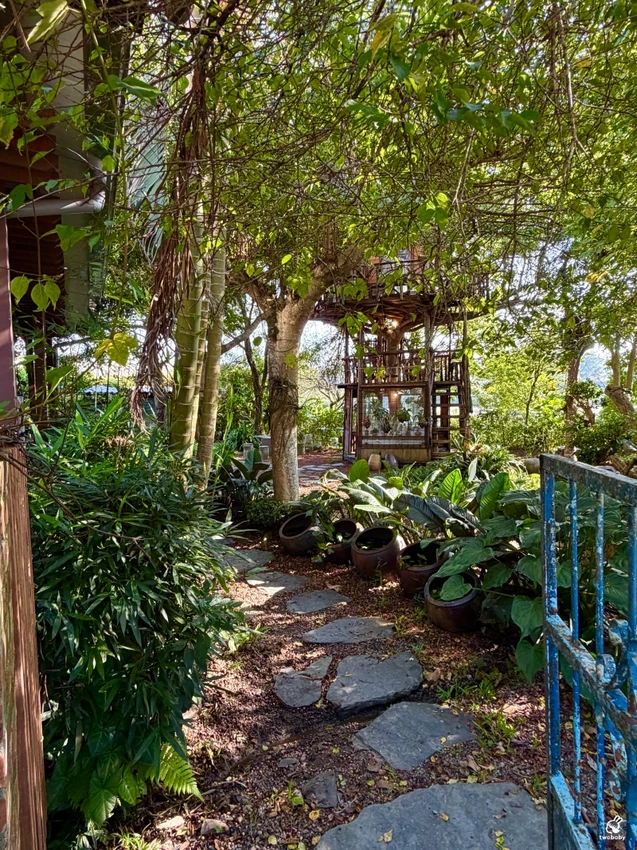 南投縣埔里鎮嫁婆jà po｜埔里隱藏版森林系樹屋秘境咖啡館 像誤闖宮崎駿場景！