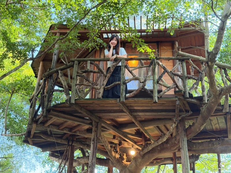 南投縣埔里鎮嫁婆jà po｜埔里隱藏版森林系樹屋秘境咖啡館 像誤闖宮崎駿場景！