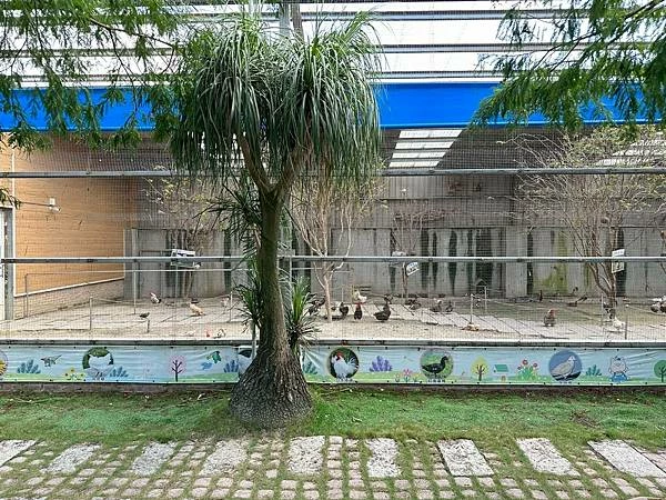 嘉義民雄親子旅遊景點!三隻小豬觀光農場,3000坪迷你動物園可玩一整天。