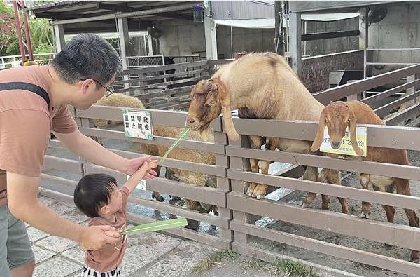 嘉義民雄親子旅遊景點!三隻小豬觀光農場,3000坪迷你動物園可玩一整天。