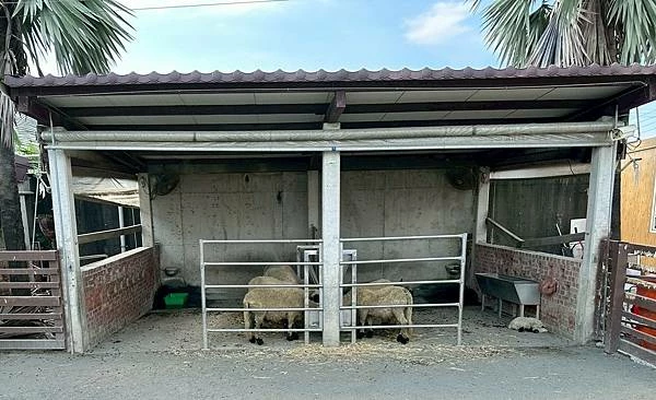 嘉義民雄親子旅遊景點!三隻小豬觀光農場,3000坪迷你動物園可玩一整天。