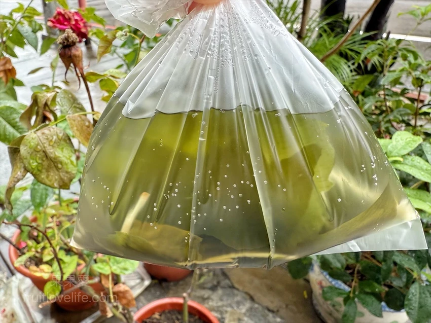 興大平價便當，主菜+四配菜只要70元，有9種主菜可選擇