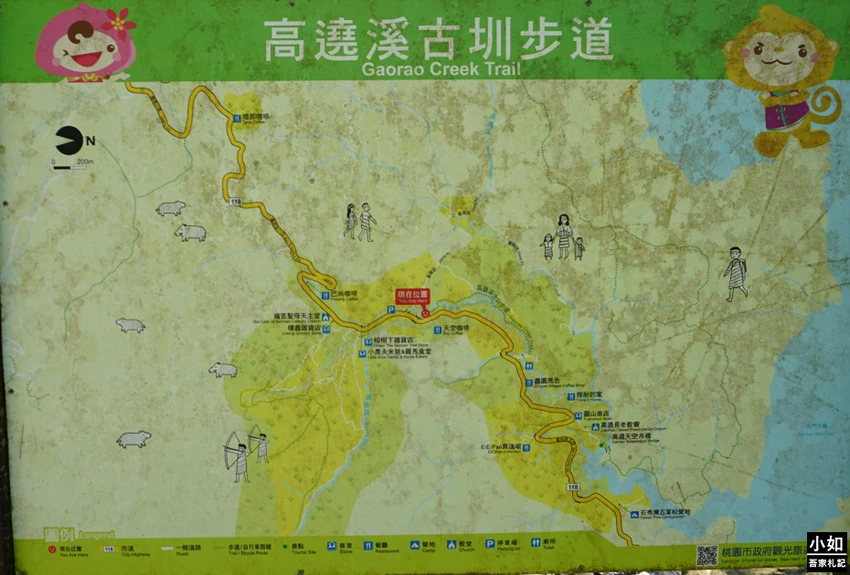 桃園親子步道推薦！高遶溪古圳步道一次看三座吊橋，天空吊橋賞翠綠湖景。