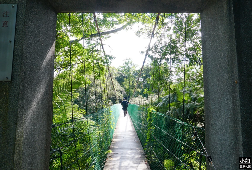 桃園親子步道推薦！高遶溪古圳步道一次看三座吊橋，天空吊橋賞翠綠湖景。
