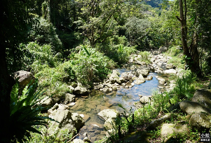桃園親子步道推薦！高遶溪古圳步道一次看三座吊橋，天空吊橋賞翠綠湖景。