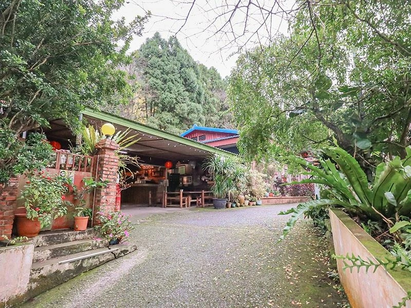 仙山旁星仙草!2年以上老仙草乾熬製8小時,冬日必吃手工大湯圓。