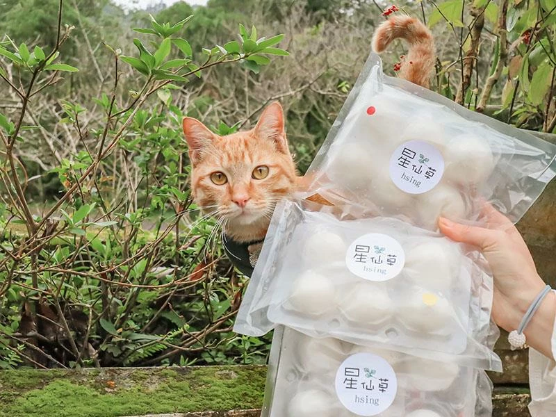 仙山旁星仙草!2年以上老仙草乾熬製8小時,冬日必吃手工大湯圓。