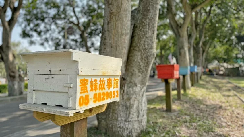 雲林景點/蜜蜂故事館、古坑綠色隧道，假日市集吃吃喝喝的好去處！