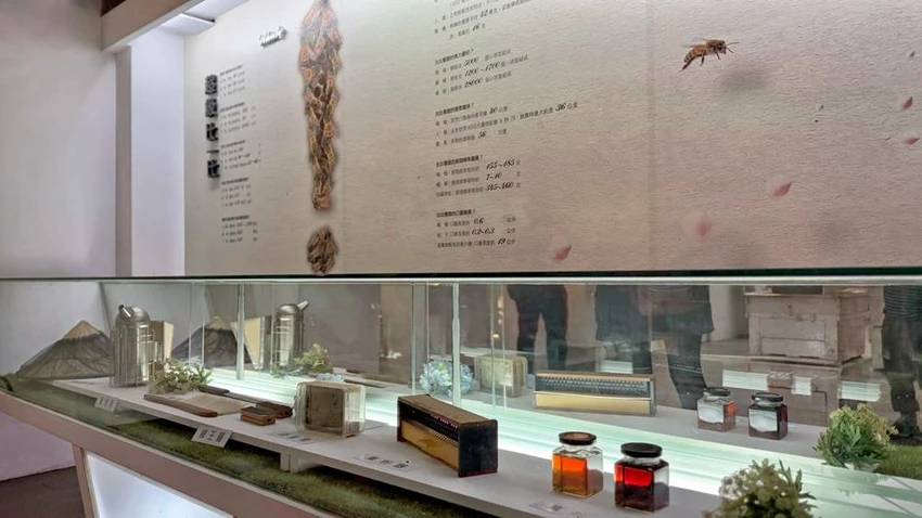 雲林景點/蜜蜂故事館、古坑綠色隧道，假日市集吃吃喝喝的好去處！