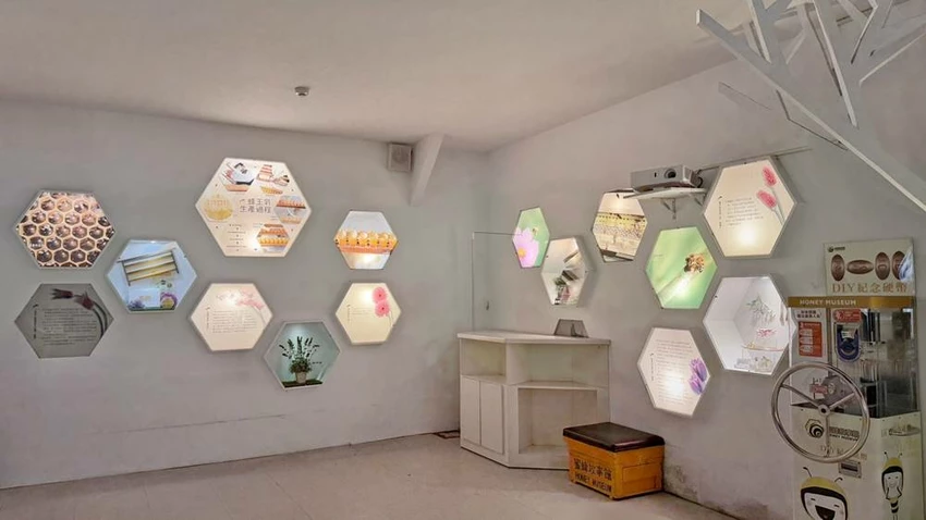 雲林景點/蜜蜂故事館、古坑綠色隧道，假日市集吃吃喝喝的好去處！