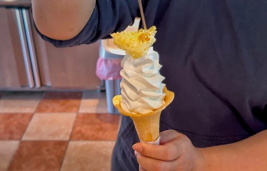 雲林景點/蜜蜂故事館、古坑綠色隧道，假日市集吃吃喝喝的好去處！