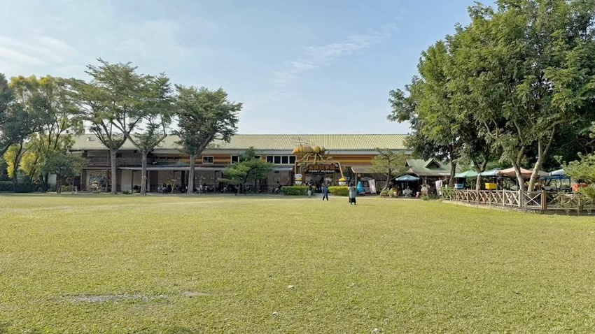 雲林景點/蜜蜂故事館、古坑綠色隧道，假日市集吃吃喝喝的好去處！