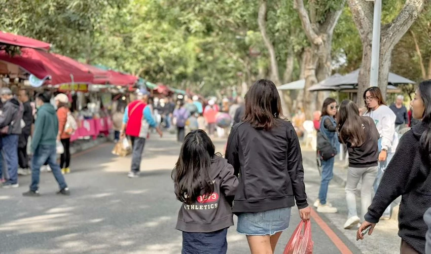 雲林景點/蜜蜂故事館、古坑綠色隧道，假日市集吃吃喝喝的好去處！