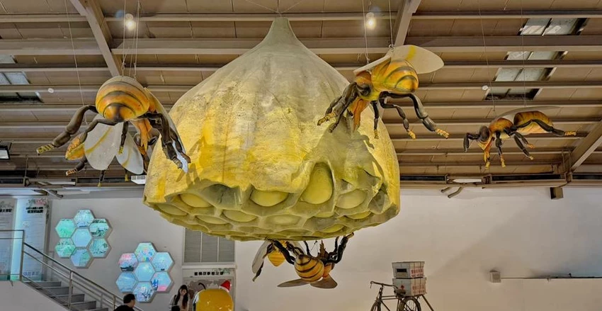 雲林景點/蜜蜂故事館、古坑綠色隧道，假日市集吃吃喝喝的好去處！