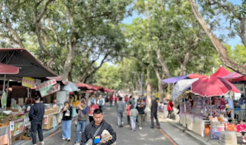 雲林景點/蜜蜂故事館、古坑綠色隧道，假日市集吃吃喝喝的好去處！