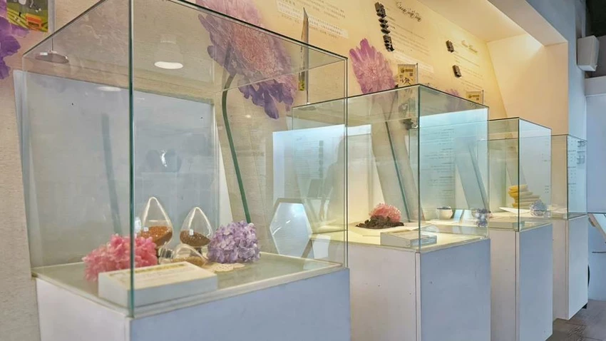 雲林景點/蜜蜂故事館、古坑綠色隧道，假日市集吃吃喝喝的好去處！