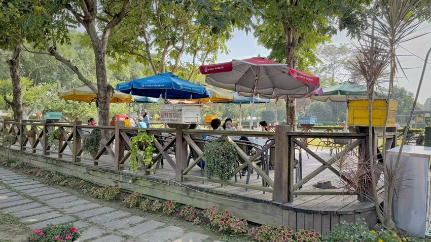 雲林景點/蜜蜂故事館、古坑綠色隧道，假日市集吃吃喝喝的好去處！