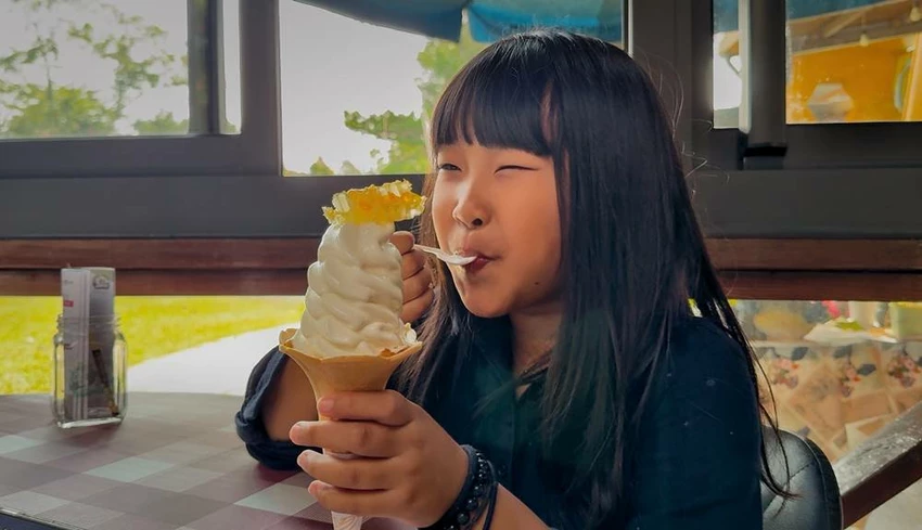 雲林景點/蜜蜂故事館、古坑綠色隧道，假日市集吃吃喝喝的好去處！