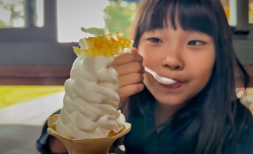 雲林景點/蜜蜂故事館、古坑綠色隧道，假日市集吃吃喝喝的好去處！