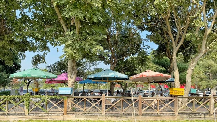 雲林景點/蜜蜂故事館、古坑綠色隧道，假日市集吃吃喝喝的好去處！