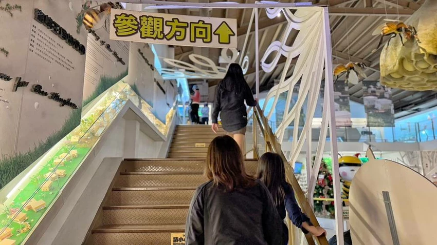 雲林景點/蜜蜂故事館、古坑綠色隧道，假日市集吃吃喝喝的好去處！