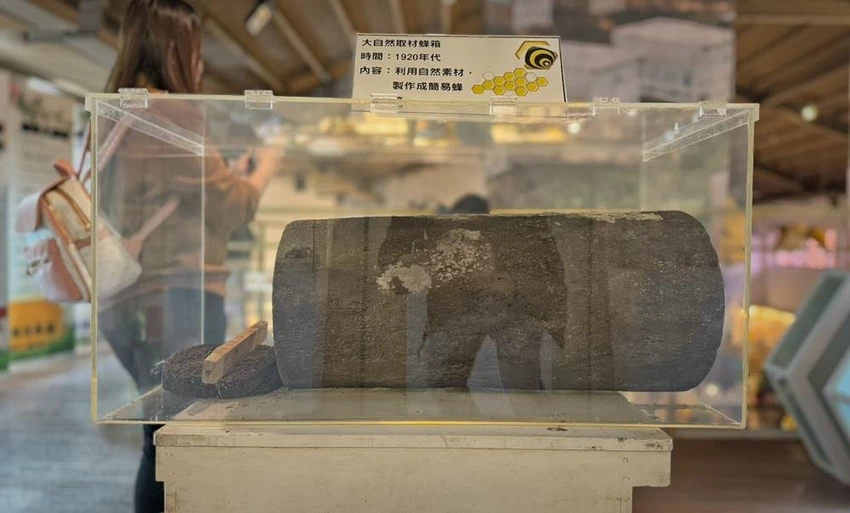 雲林景點/蜜蜂故事館、古坑綠色隧道，假日市集吃吃喝喝的好去處！