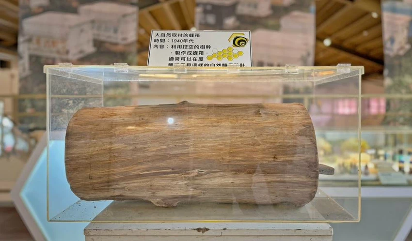 雲林景點/蜜蜂故事館、古坑綠色隧道，假日市集吃吃喝喝的好去處！