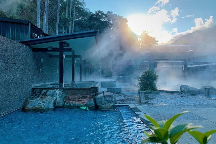 雲林景點/蜜蜂故事館、古坑綠色隧道，假日市集吃吃喝喝的好去處！
