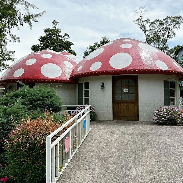 苗栗南庄住宿推薦！入住童話樹屋和豪華露營車，電動天窗夜賞星空房型大解密。