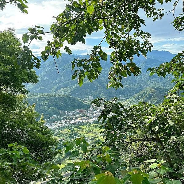 苗栗南庄住宿推薦！入住童話樹屋和豪華露營車，電動天窗夜賞星空房型大解密。