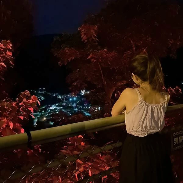 苗栗南庄住宿推薦！入住童話樹屋和豪華露營車，電動天窗夜賞星空房型大解密。