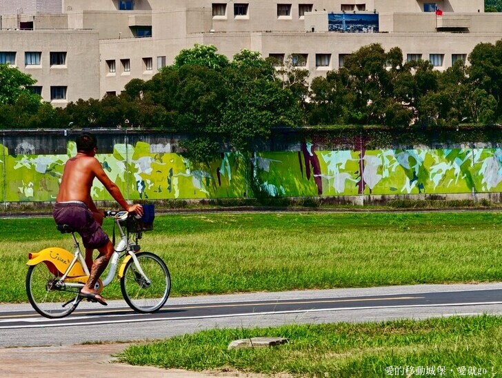 台北市中山區【2025台北賞花 樂遊趣】大佳河濱公園 向日葵花海金黃燦爛 紫色波斯菊花粉浪漫 自行車道自由行 親子共融遊戲區 愛就跟我一起快樂Go !