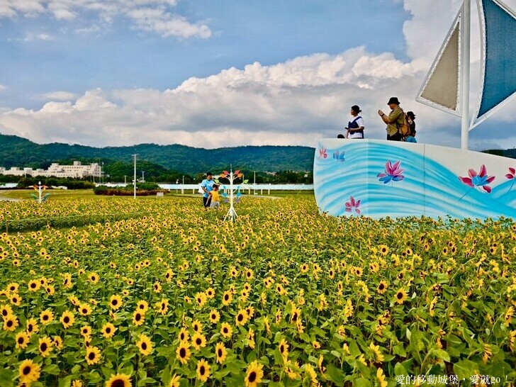 台北市中山區【2025台北賞花 樂遊趣】大佳河濱公園 向日葵花海金黃燦爛 紫色波斯菊花粉浪漫 自行車道自由行 親子共融遊戲區 愛就跟我一起快樂Go !