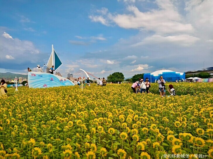 台北市中山區【2025台北賞花 樂遊趣】大佳河濱公園 向日葵花海金黃燦爛 紫色波斯菊花粉浪漫 自行車道自由行 親子共融遊戲區 愛就跟我一起快樂Go !
