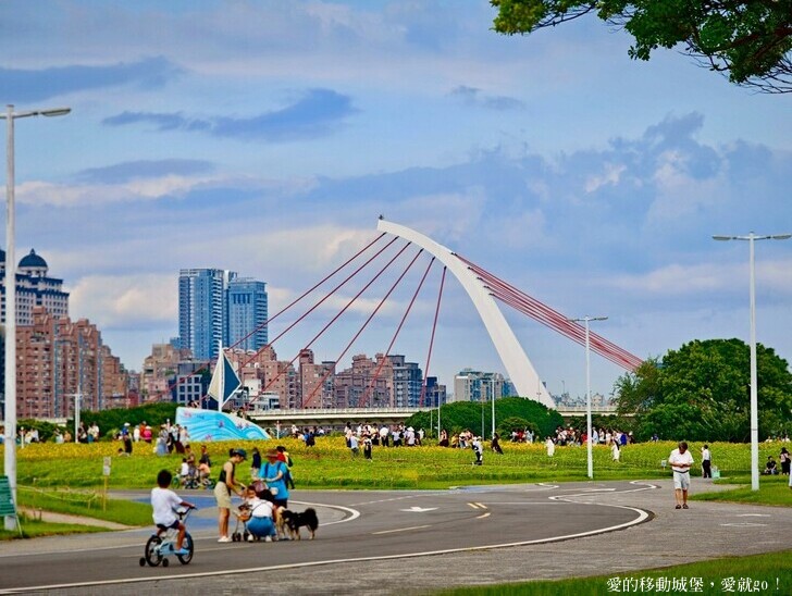 台北市中山區【2025台北賞花 樂遊趣】大佳河濱公園 向日葵花海金黃燦爛 紫色波斯菊花粉浪漫 自行車道自由行 親子共融遊戲區 愛就跟我一起快樂Go !