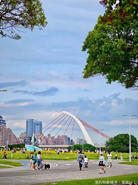 台北市中山區【2025台北賞花 樂遊趣】大佳河濱公園 向日葵花海金黃燦爛 紫色波斯菊花粉浪漫 自行車道自由行 親子共融遊戲區 愛就跟我一起快樂Go !