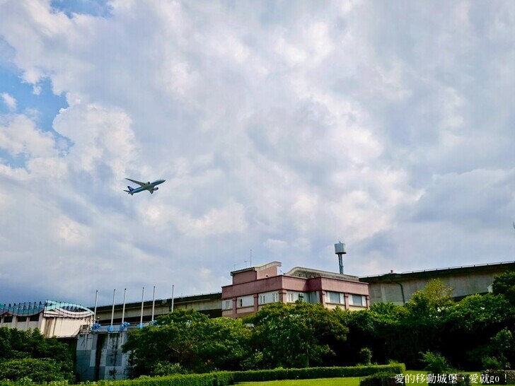 台北市中山區【2025台北賞花 樂遊趣】大佳河濱公園 向日葵花海金黃燦爛 紫色波斯菊花粉浪漫 自行車道自由行 親子共融遊戲區 愛就跟我一起快樂Go !