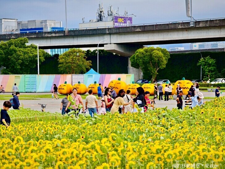 台北市中山區【2025台北賞花 樂遊趣】大佳河濱公園 向日葵花海金黃燦爛 紫色波斯菊花粉浪漫 自行車道自由行 親子共融遊戲區 愛就跟我一起快樂Go !