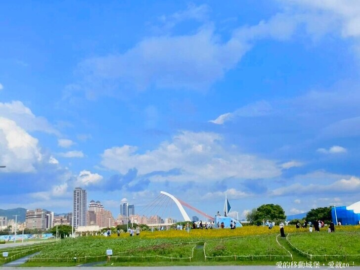 台北市中山區【2025台北賞花 樂遊趣】大佳河濱公園 向日葵花海金黃燦爛 紫色波斯菊花粉浪漫 自行車道自由行 親子共融遊戲區 愛就跟我一起快樂Go !
