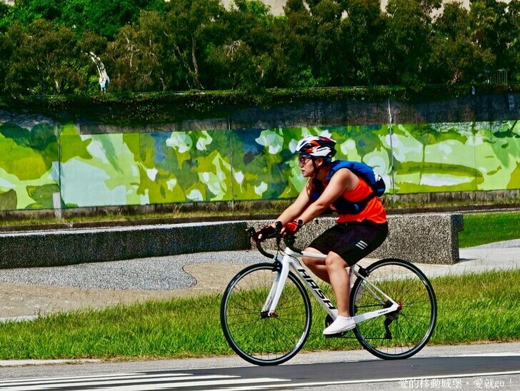 台北市中山區【2025台北賞花 樂遊趣】大佳河濱公園 向日葵花海金黃燦爛 紫色波斯菊花粉浪漫 自行車道自由行 親子共融遊戲區 愛就跟我一起快樂Go !
