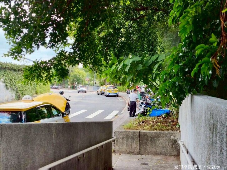台北市中山區【2025台北賞花 樂遊趣】大佳河濱公園 向日葵花海金黃燦爛 紫色波斯菊花粉浪漫 自行車道自由行 親子共融遊戲區 愛就跟我一起快樂Go !