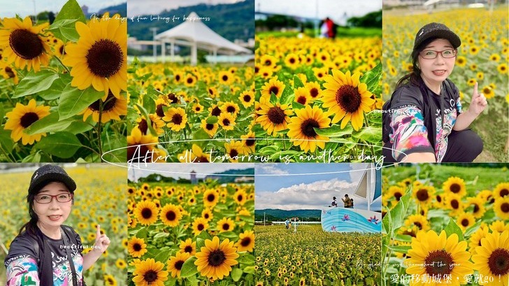 台北市中山區【2025台北賞花 樂遊趣】大佳河濱公園 向日葵花海金黃燦爛 紫色波斯菊花粉浪漫 自行車道自由行 親子共融遊戲區 愛就跟我一起快樂Go !